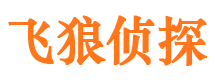 平原资产调查